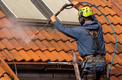 Démoussage et hydrofuge de toiture à Lasseubetat